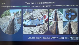 IMG_8702.jpeg