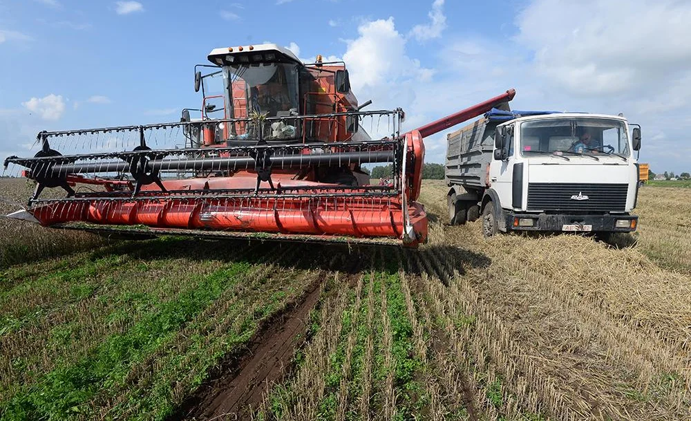 КОМБАЙНЫ.jpg