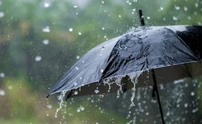 News_199507966961519981085436162860862137935.jpg