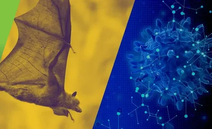 Nipah_back.2e16d0ba.format-webp.fill-1668x1014.webp