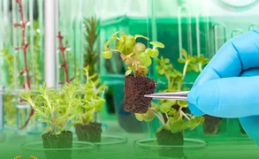 ✅Өсүмдүк айыл чарба продукцияларынан карантиндик объекттерди жана жөнгө салынуучу карантиндик эм.jpg