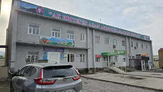 PHOTO-2026-02-15-21-12-26.jpg (3).jpeg