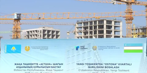 P_17.jpg