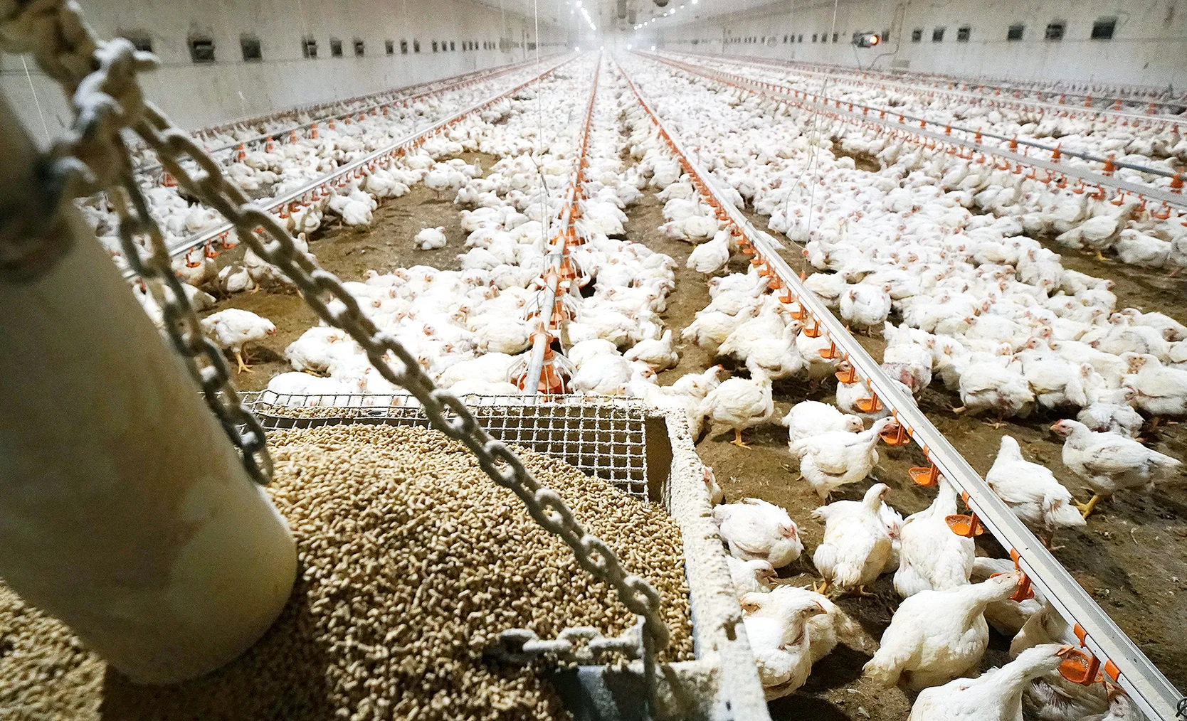 RIAN_6150600.HR_.ru_ (1).jpg