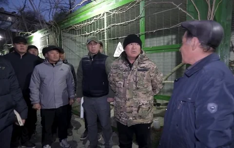 Снимок.PNG