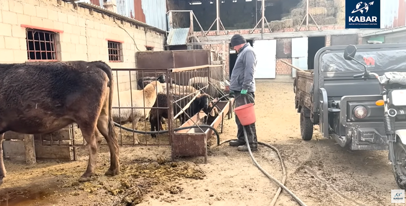 Снимок экрана 2025-12-11 125619