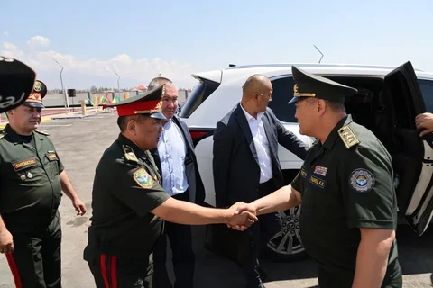 Tamchy_vruchen_N1y9B9b.max-2560x1440.format-webp.jpegquality-90.webp