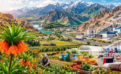 Камсыздандыруу тармагы: Кайсы аймактар алдыда?
