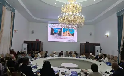 Чолпон-Ата: илимпоз саркынды сууларга чара көрүүгө чакырат