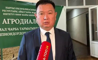 Асыл тукум мал багууга 2 млрд сом насыя 3%дык чен менен берилет – Дүйшеев