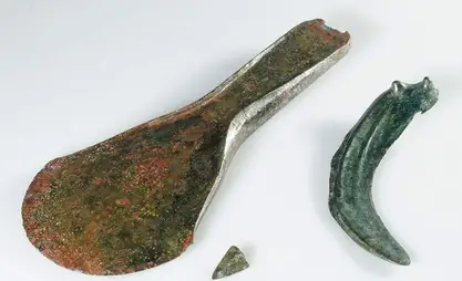 Швейцарияда 3,5 миң жыл мурунку коло балта табылды