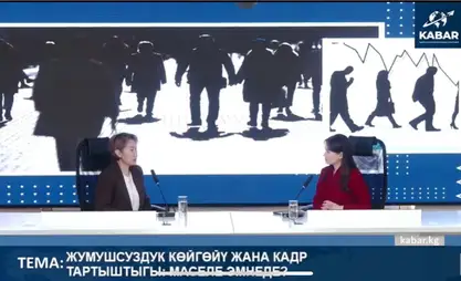 Кыргызстанда дээрлик 41 миң жаран расмий жумушсуз деп катталган