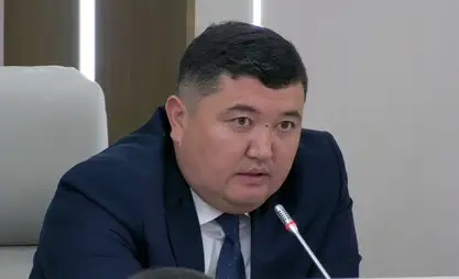 ТИМ: Быйыл мыйзам бузган 11 миң чет элдик өлкөдөн чыгып кетти