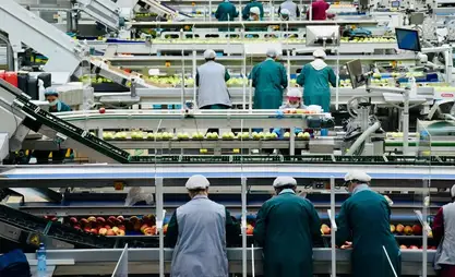 Агроөнөржай: 2025-жылы 63 ишкана ачылып, 2700дөн ашуун жумуш орду түзүлдү