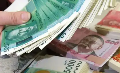 Бюджетте акча жетиштүү болгон үчүн айлыктар көтөрүлүүдө – эксперт