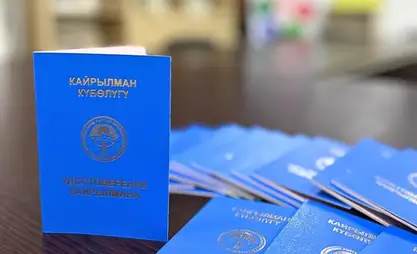 9 айда 711 этникалык кыргыз кайрылман макамына ээ болду