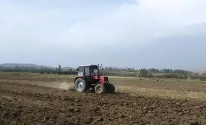 Аксыда 1,2 миң гектар жерге күздүк буудай эгилүүдө