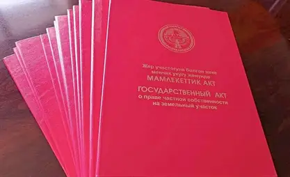 Жер мунапысын жүргүзүүгө арызды кабыл алуу 1-июлда аяктайт