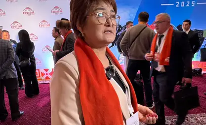 Делегат: Таштандыдан электр энергиясын өндүрүүчү завод Япониядагыдай таасир калтырды