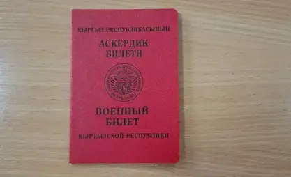 Акыйкатчы институту Ысык-Көлдүн тургунуна аскердик билетин алууга көмөктөштү