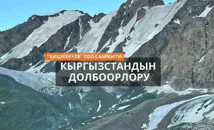Глобалдык жылуулук жана тоолуктар: Кыргызстан тоо экосистемасын кантип сактай алат?