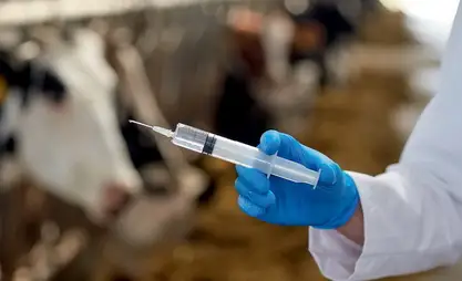 Былтыр өлкө боюнча 25,5 млн баш мал ветеринардык кароодон өткөрүлдү