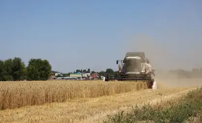 Өлкөдө 261 миң гектар аянттагы арпа, буудай жыйналды