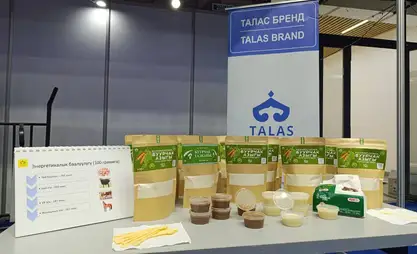 Көчмөндөрдүн азыгы: Таластык ишкер төө буурчактан протеин өндүрө баштады
