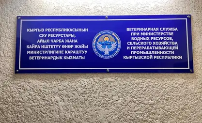 Ветеринардык кызматы кайрадан уюштурулду