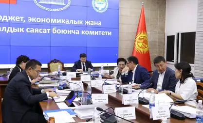 Эсептөө палатасы былтыр 13 млрд сомдук каржы бузууларды аныктаган