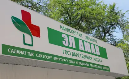 “Эл аман” электрондук дарыкана катары иштөө ыкмасына өтөт - министр