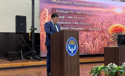 Чүй облусунда дээрлик 419 миң га айдоо жерлерине себүү иштери пландалууда