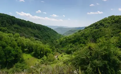 Кыргызстанда токойлор 1,2 млн гектардан ашык аянтты ээлейт
