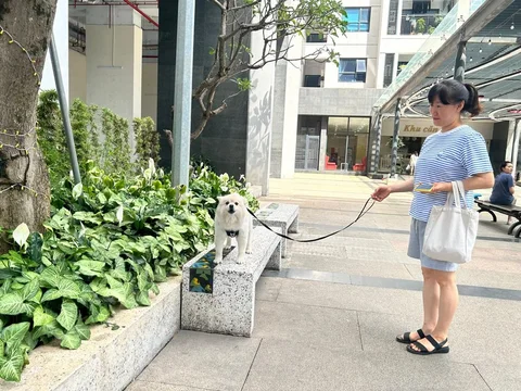 WhatsApp_Image_0zGJQdD.max-2560x1440.format-webp.jpegquality-90.webp