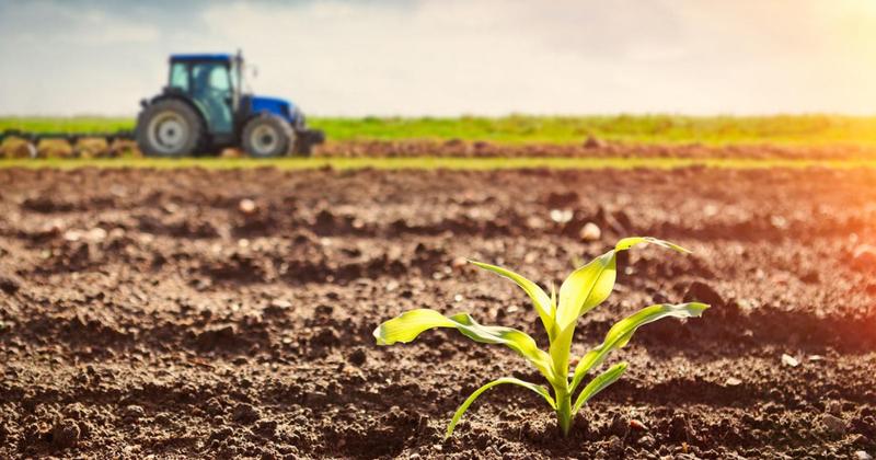 WhatsApp Image 2025-02-24 at 10.14.48 (1).jpeg