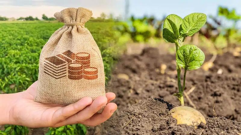 WhatsApp Image 2025-02-24 at 10.14.49.jpeg