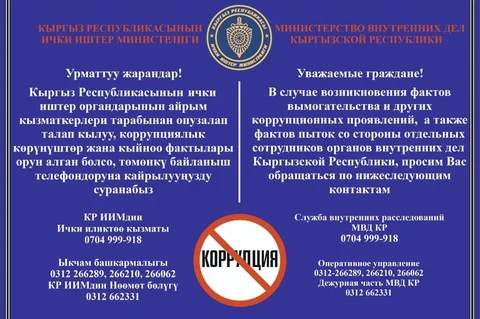WhatsApp Image 2025-02-25 at 07.16.17.jpeg