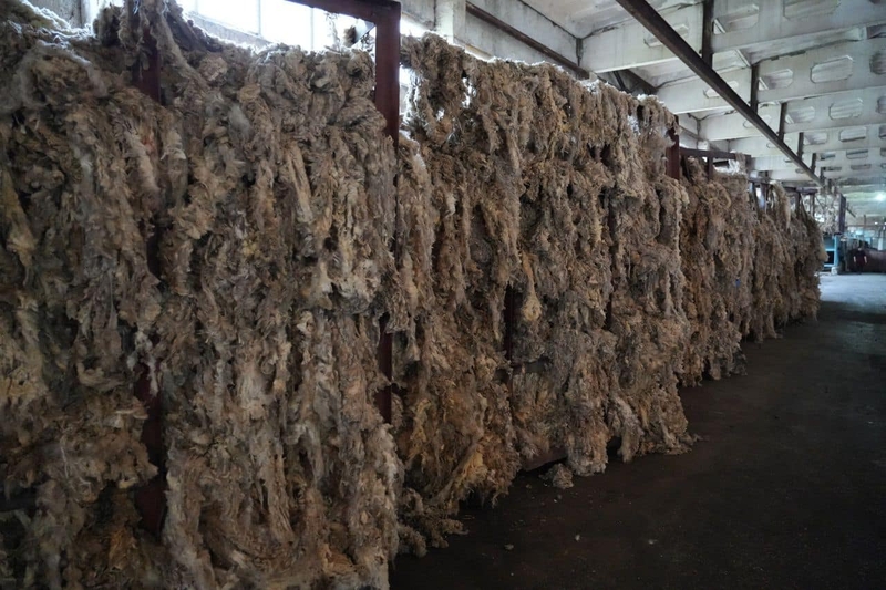 WhatsApp Image 2025-07-22 at 16.22.29.jpeg