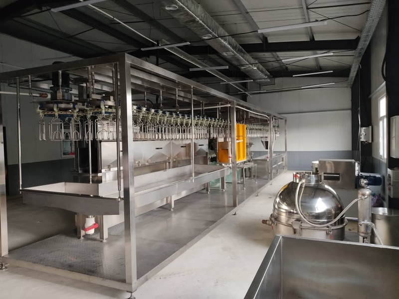 WhatsApp Image 2025-07-24 at 15.33.48 (2).jpeg