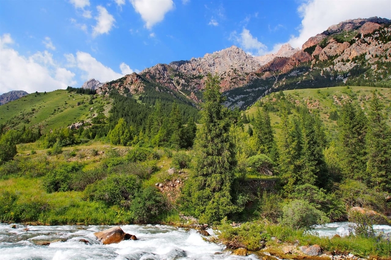 WhatsApp Image 2025-07-25 at 16.50.47.jpeg