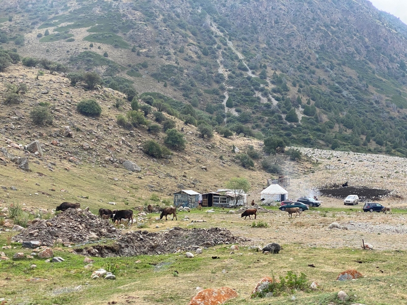 WhatsApp Image 2025-07-28 at 12.53.36.jpeg