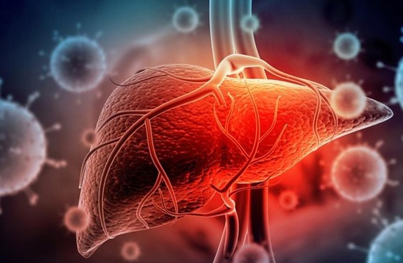 WhatsApp Image 2025-07-28 at 18.08.39.jpeg