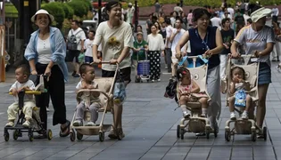 WhatsApp Image 2025-07-29 at 05.12.32.jpeg