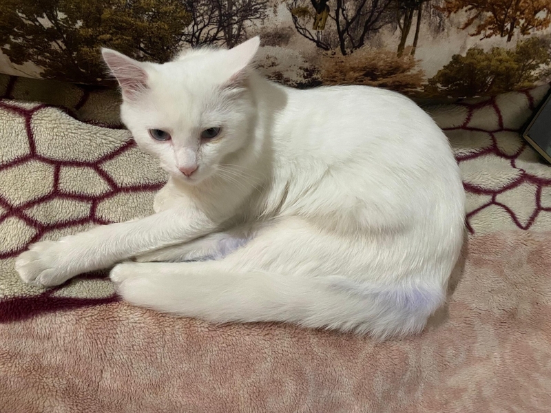 WhatsApp Image 2025-07-30 at 17.35.30.jpeg