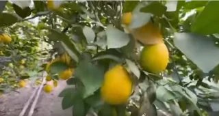 WhatsApp Image 2025-08-11 at 06.03.51 (2).jpeg