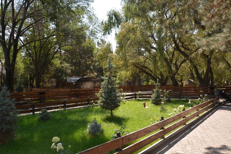 WhatsApp Image 2025-08-11 at 13.10.15.jpeg