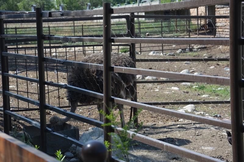 WhatsApp Image 2025-08-11 at 13.10.15 (1).jpeg