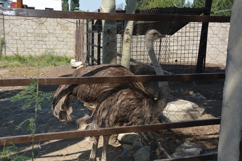 WhatsApp Image 2025-08-11 at 13.10.15 (4).jpeg