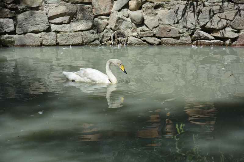 WhatsApp Image 2025-08-11 at 13.10.16 (10).jpeg