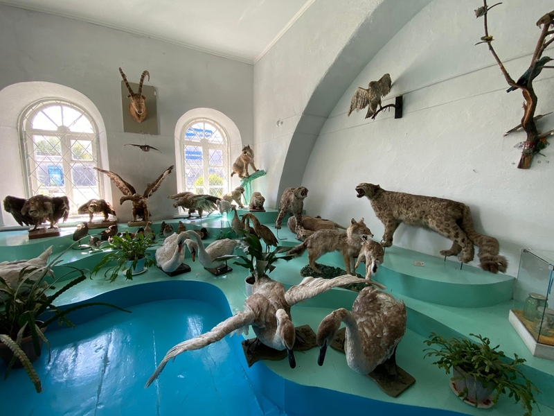 WhatsApp Image 2025-08-11 at 15.55.09 (3).jpeg